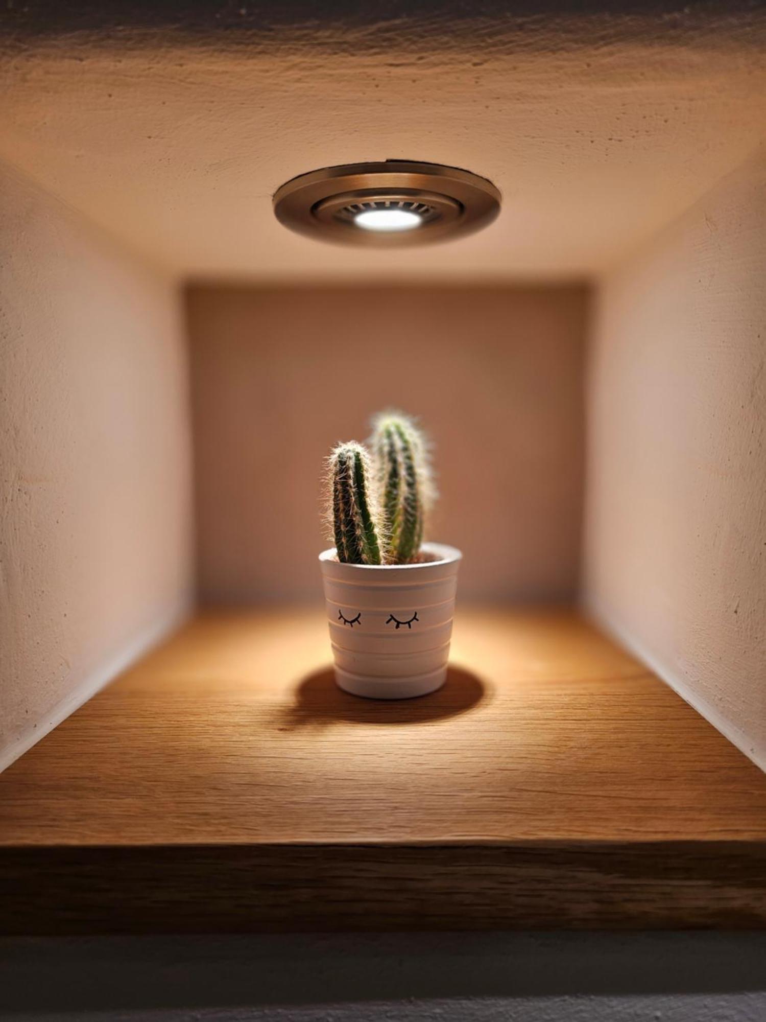 Ferienapartment Wilma * Grunsfeld